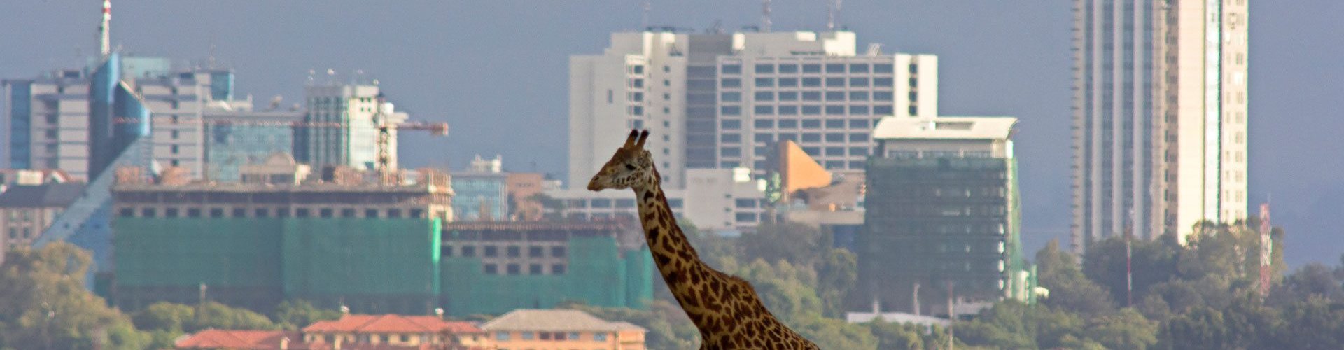 Nairobi, KE