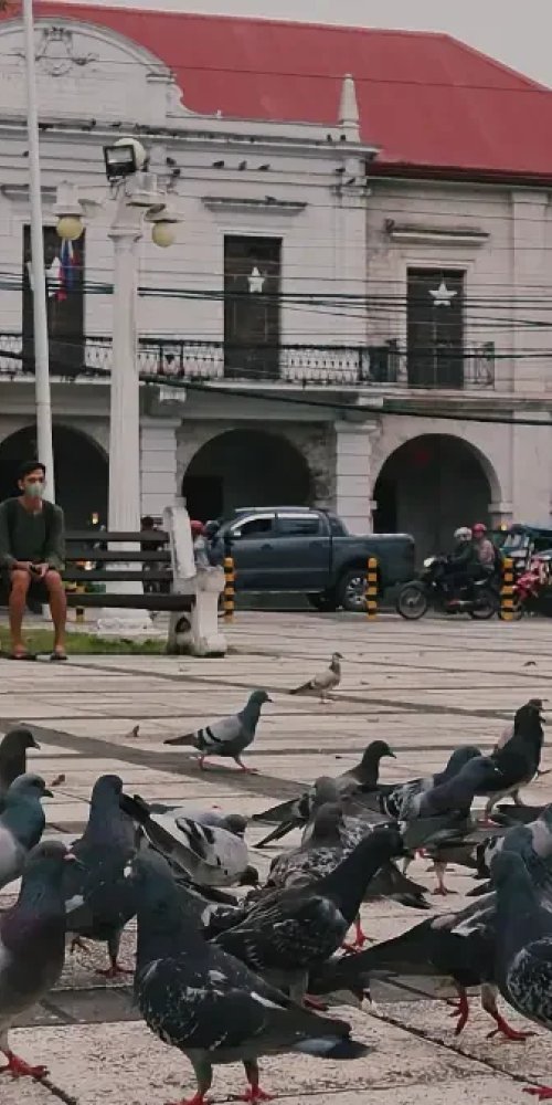 Tricycle in Tagbilaran City
