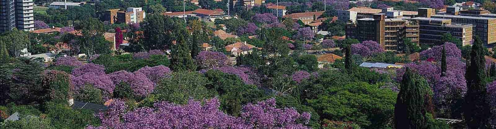 Pretoria, ZA