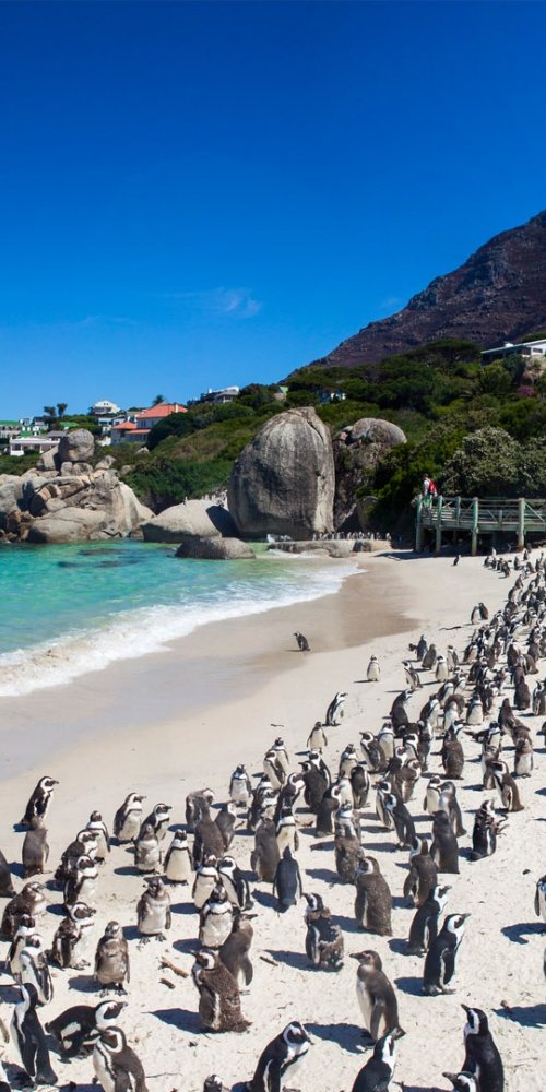 Cycling in Cape Town