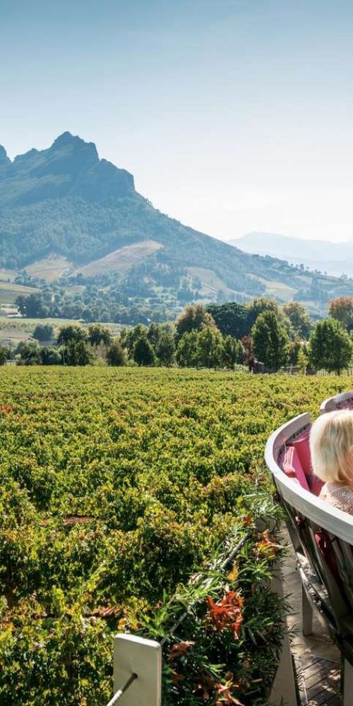 Bicycles in Stellenbosch