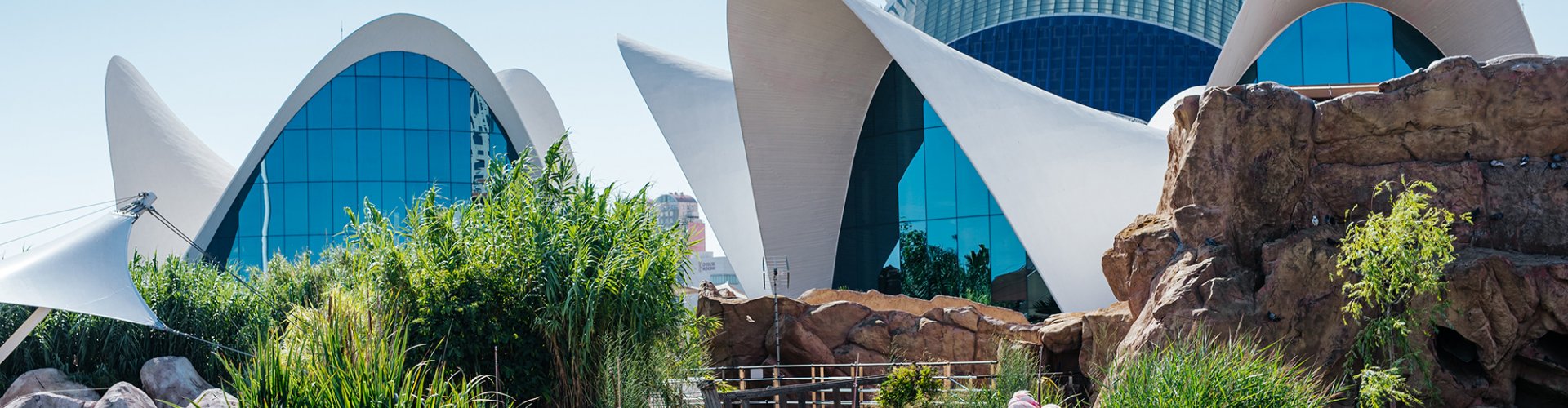 Sunset in Valencia, ES