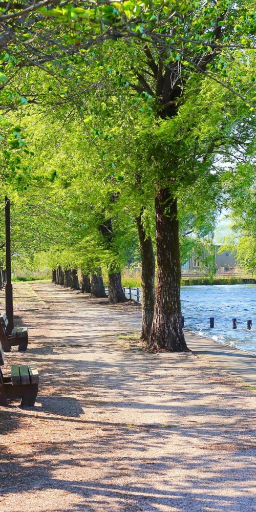 Getting around Coral Springs