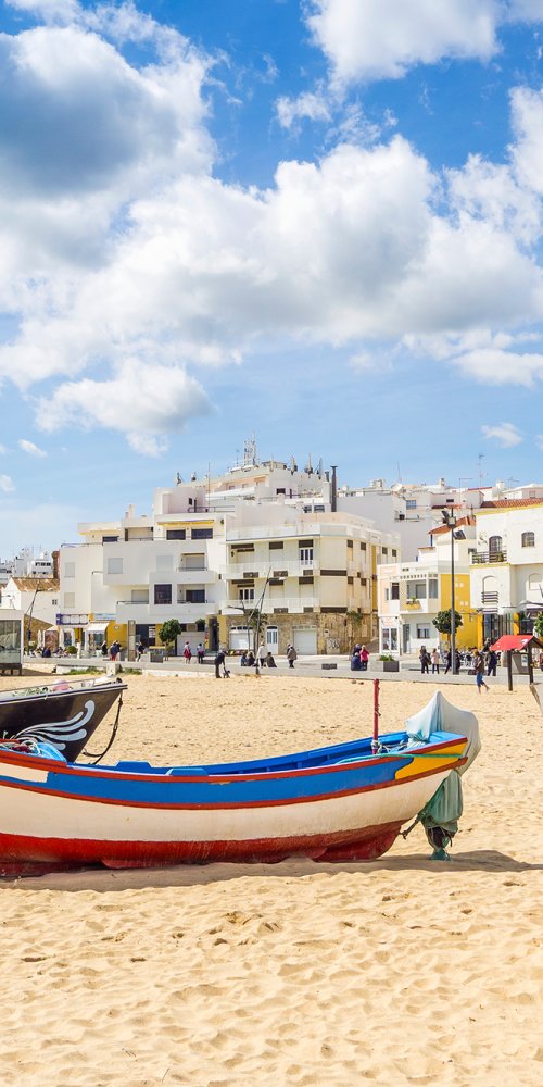 Cycling in Armacao De Pera Pine Grove