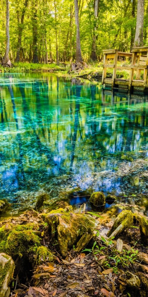 Getting around High Springs by bike and foot