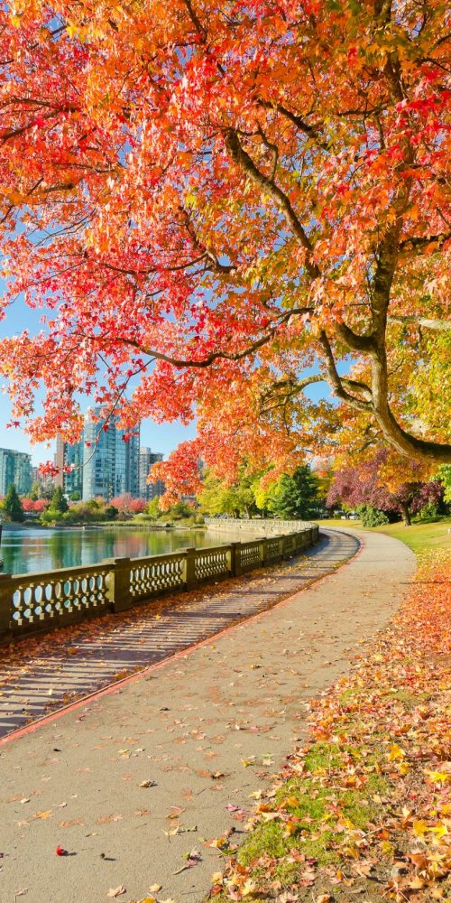 Getting Around Vancouver