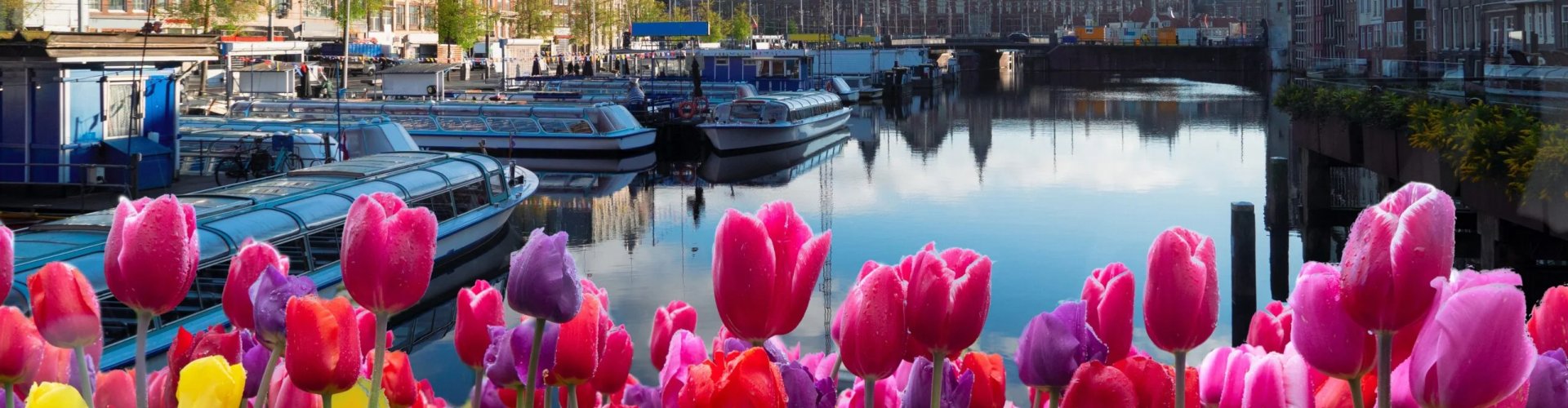 Amsterdam, NL