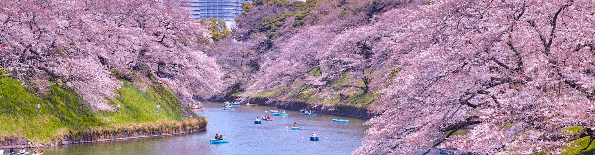 Tokyo cityscape at sunset