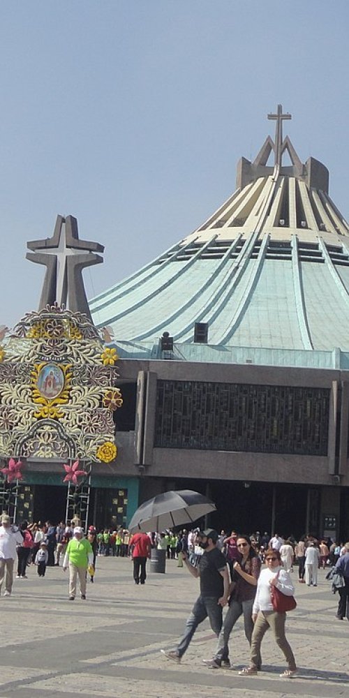 Guadalupe transport scene