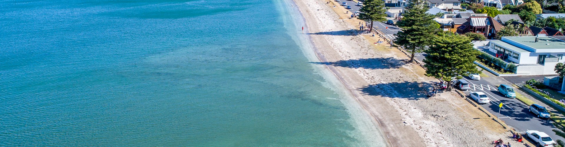 Auckland scenic landscape